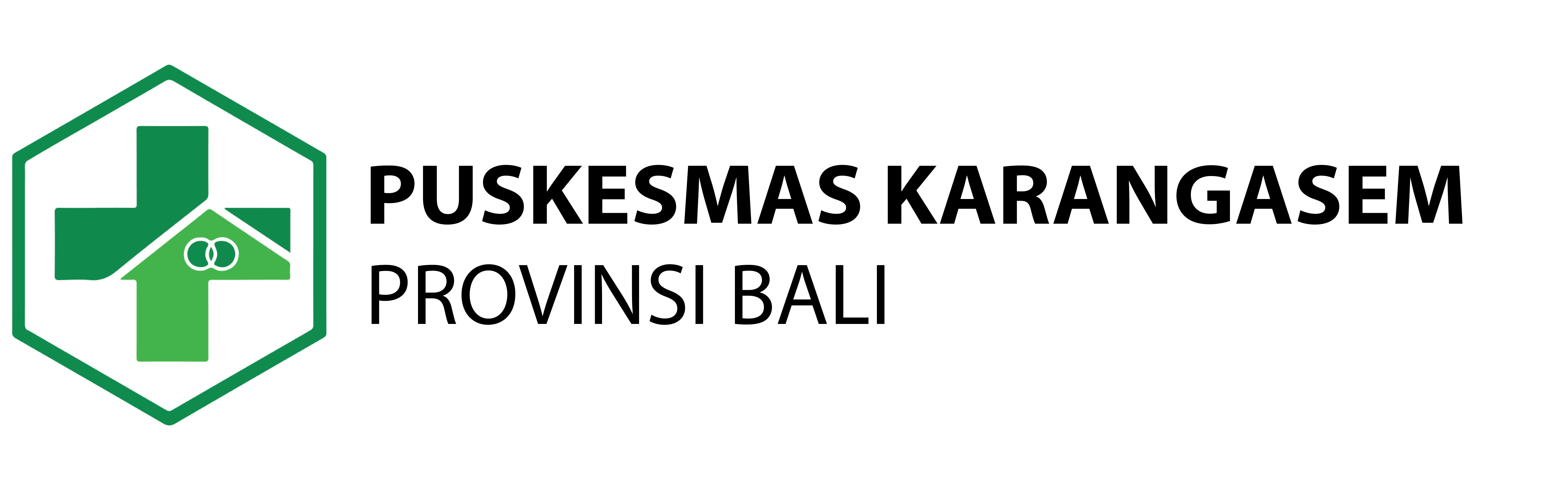 Logo Puskesmas